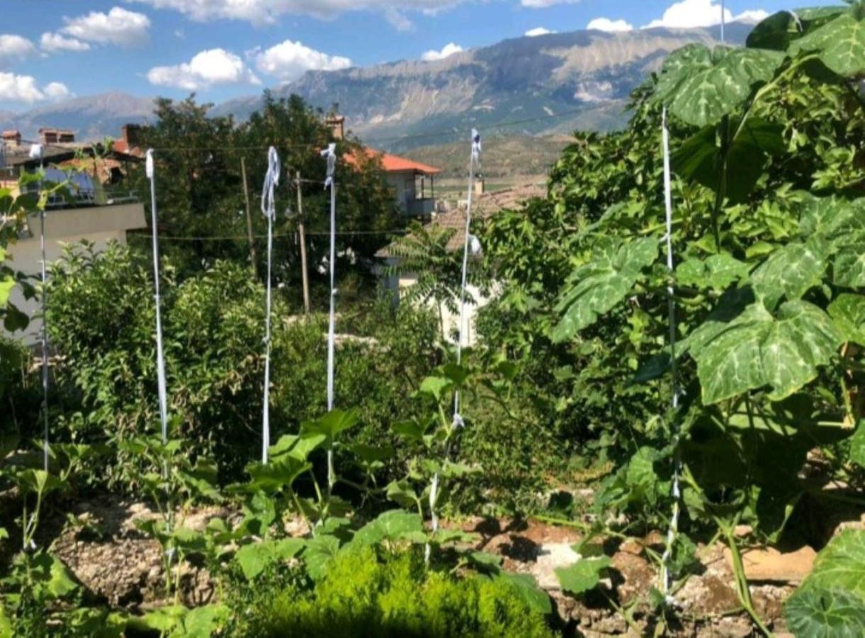 Miziriguesthouse Gjestgiverier *